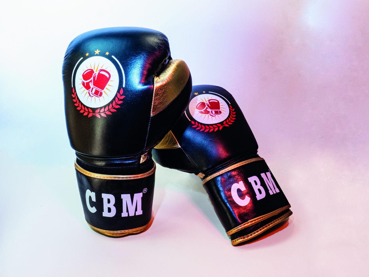 guantes profesionales de boxeo del club malaga